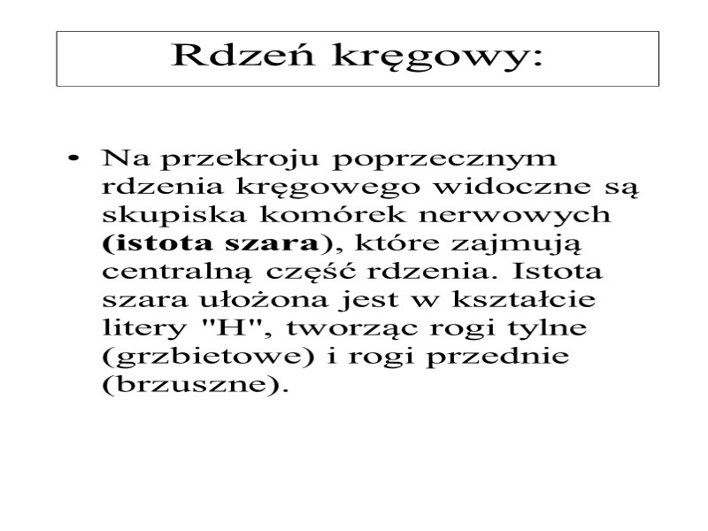 Rdzeń kręgowy: Na przekroju poprzecznym rdzenia kręgowego widoczne są skupiska komórek nerwowych (istota szara),